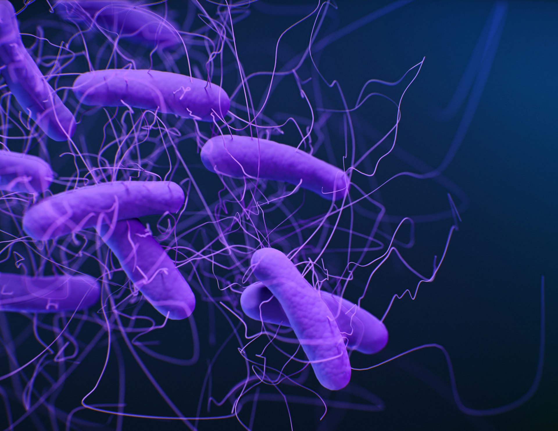 How Stress Reshapes Your Gut Microbiome-and How to Take Control